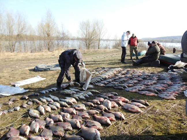 В Московской области пресечен незаконный вылов водных биологических ресурсов