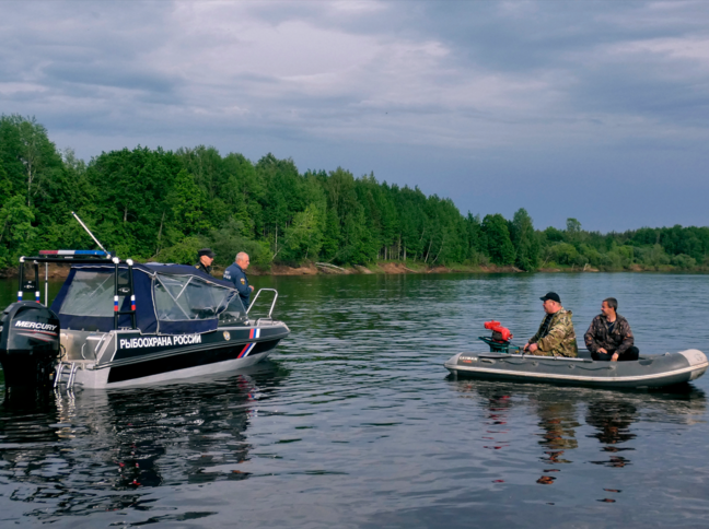 Эффективный уровень взаимодействия при проведении рыбоохранных мероприятий в весенний нерестовый период на водных объектах Нижегородской области